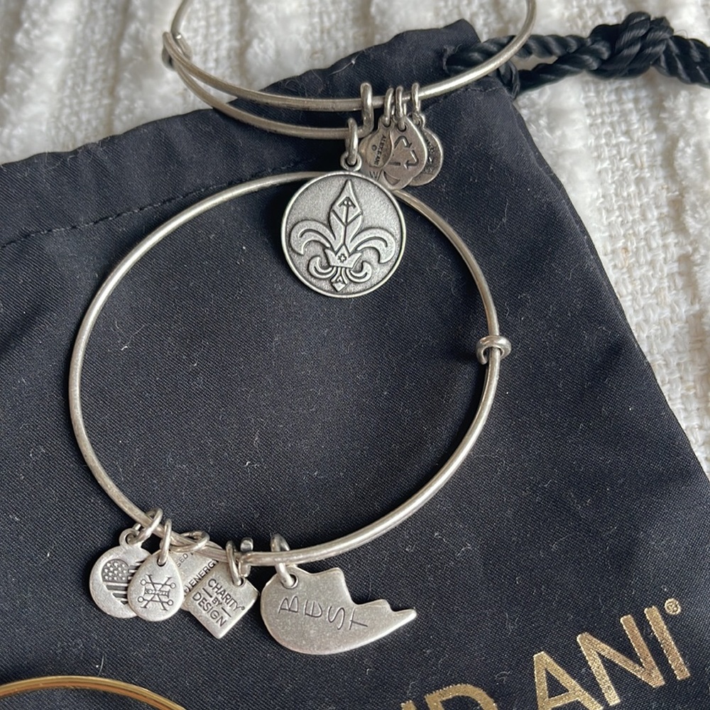 ALEX AND ANI Silver & Gold Bangle Bundle - Picture 4 of 5